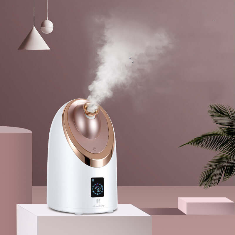 Vaporisateur Facial Nano – Hydratation & Soin du Visage à la Vapeur Chaude